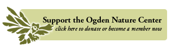 donate