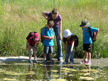 pondsatcamp
