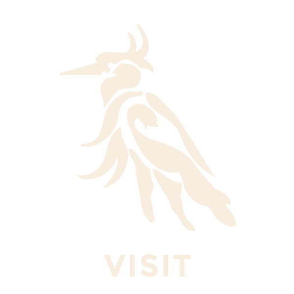 visit1