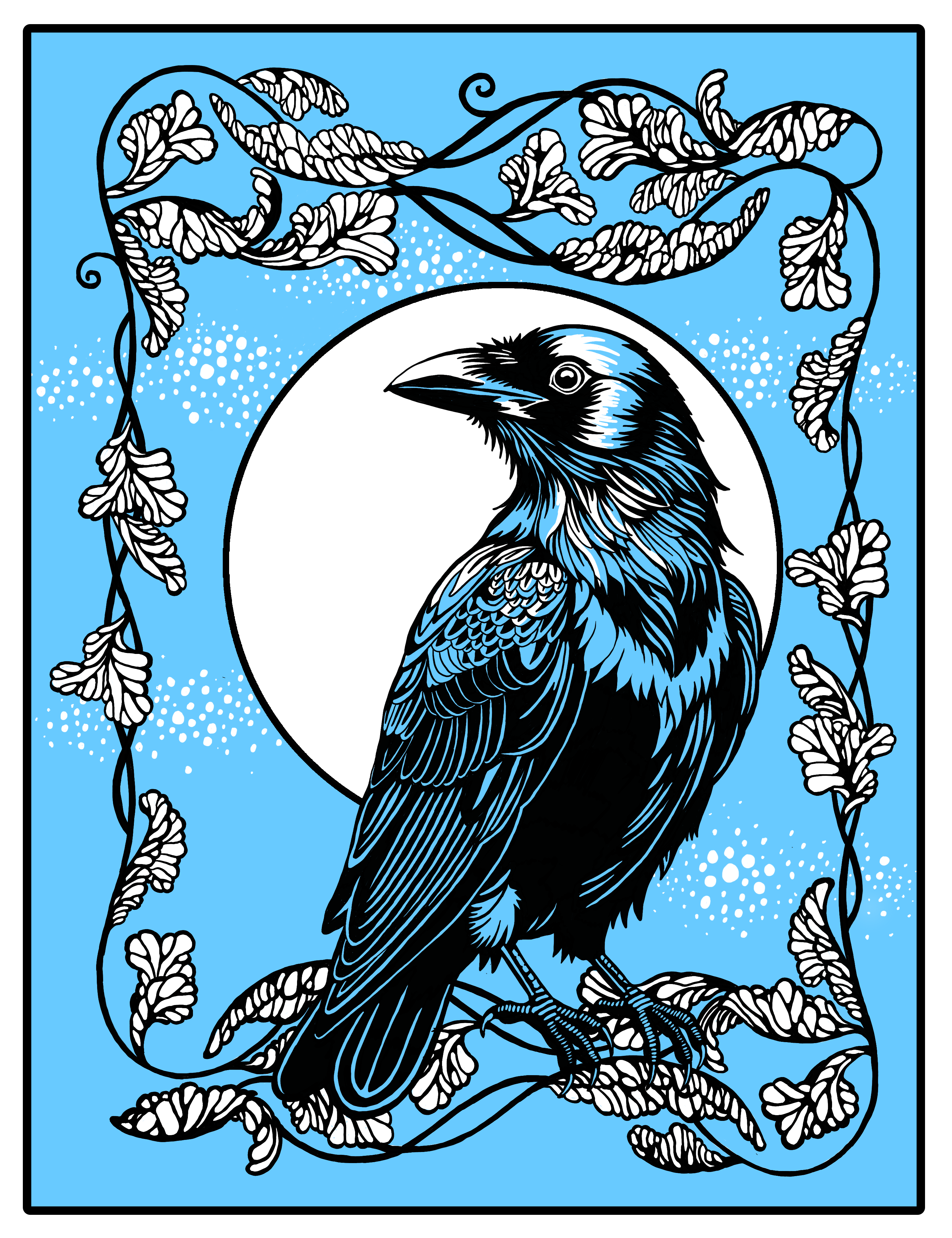 Cronk2025blueandwhite