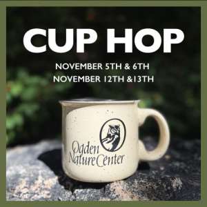 Cup Hop 2026 Cup Hop 2026