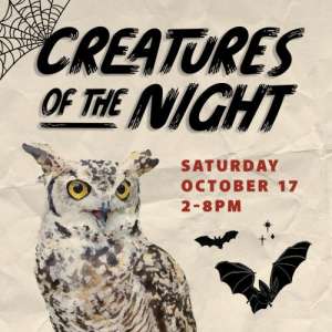 Creatures of the Night
