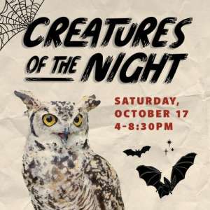 Creatures of the Night