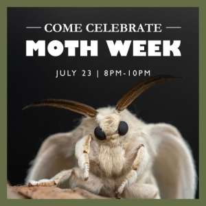National Moth Week MothFest Bioblitz National Moth Week MothFest Bioblitz