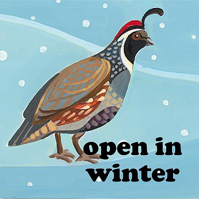 Open in Winter