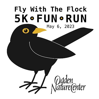 Fly with the Flock 5K
